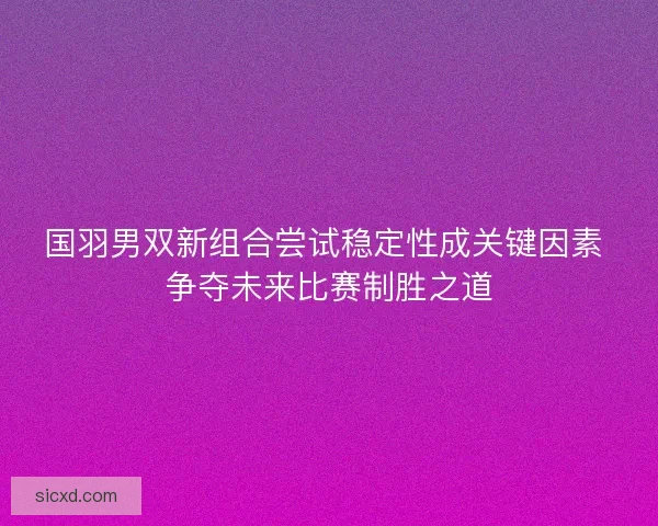 国羽男双新组合尝试稳定性成关键因素 争夺未来比赛制胜之道
